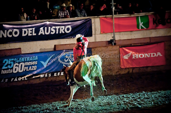 Rodeo 2010