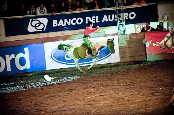Rodeo 2010