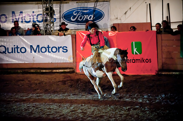 Rodeo 2010