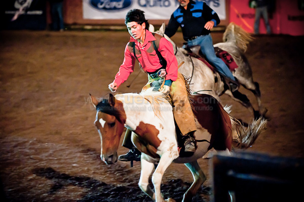 Rodeo 2010