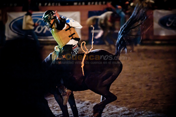 Rodeo 2010