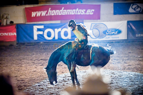 Rodeo 2010