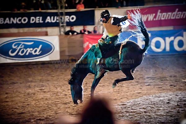 Rodeo 2010