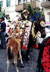 Pase del Niño Viajero