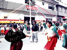 Pase del Niño Viajero