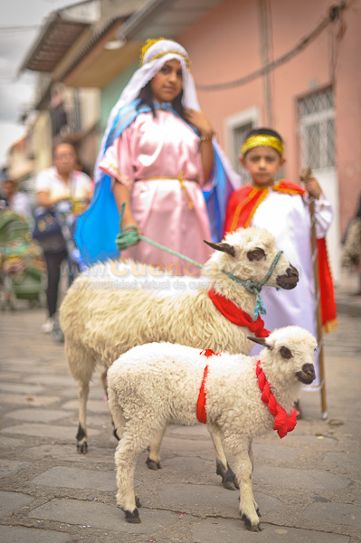 Pase del NiÃ±o 2011