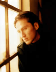 Apolo Gavilán