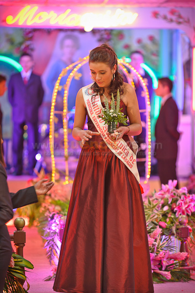 Morlaquita 2012