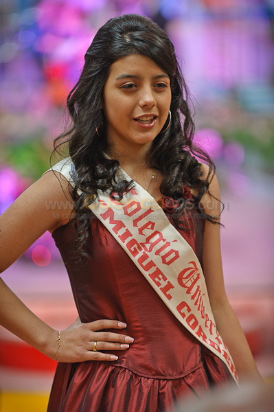 Morlaquita 2012