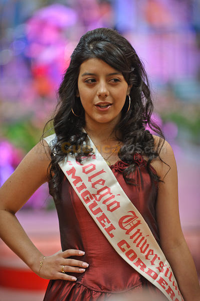 Morlaquita 2012