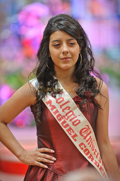 Morlaquita 2012