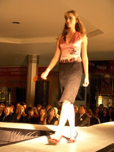 Elección de la Reina de Cuenca 2005
