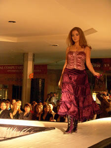 Elección de la Reina de Cuenca 2005