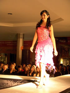 Elección de la Reina de Cuenca 2005