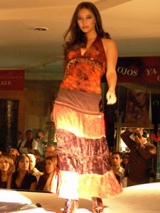 Elección de la Reina de Cuenca 2005