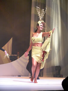Elección de la Reina de Cuenca 2005