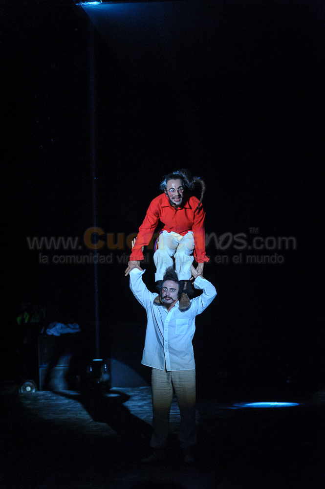 Circo Social 2013