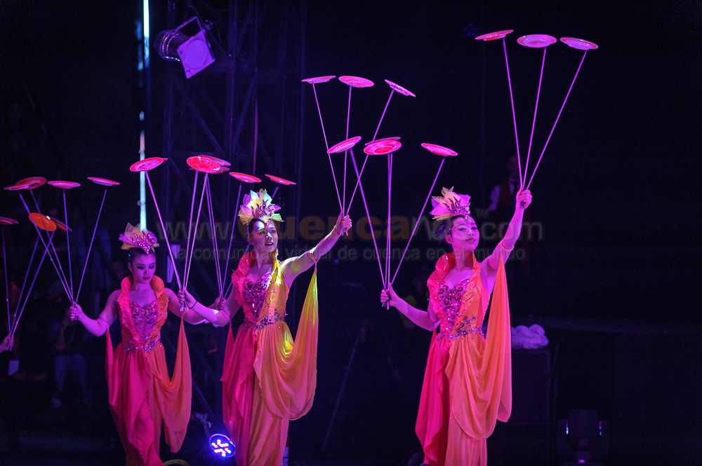 Circo Social 2013