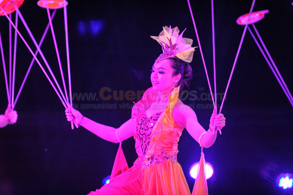 Circo Social 2013