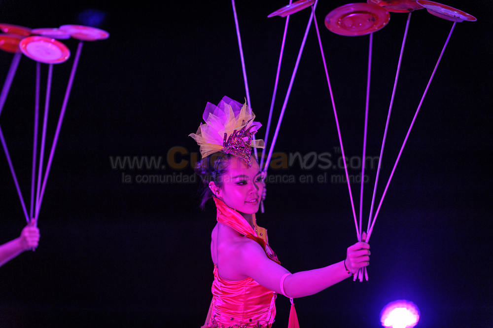 Circo Social 2013