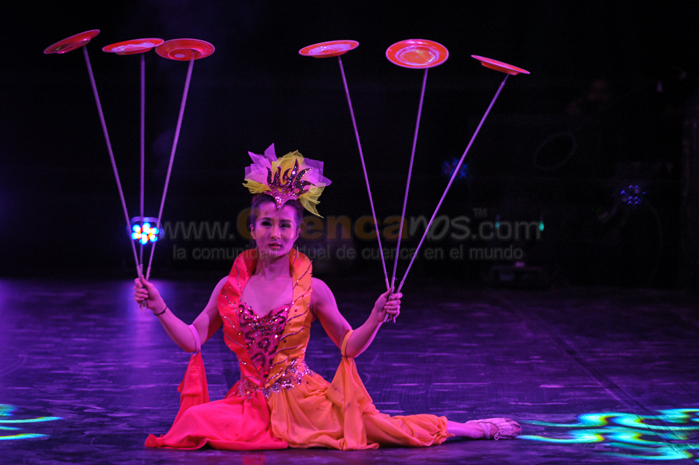 Circo Social 2013