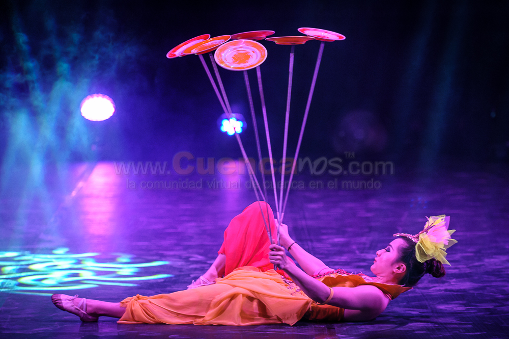 Circo Social 2013