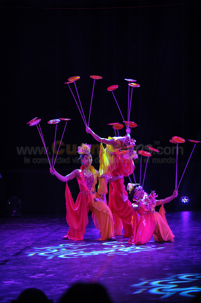 Circo Social 2013