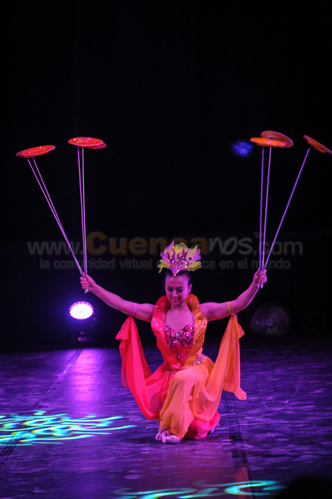 Circo Social 2013
