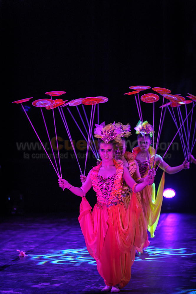 Circo Social 2013