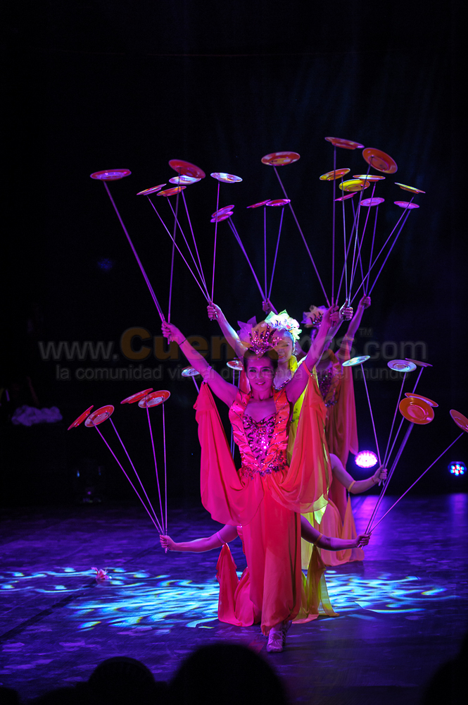 Circo Social 2013