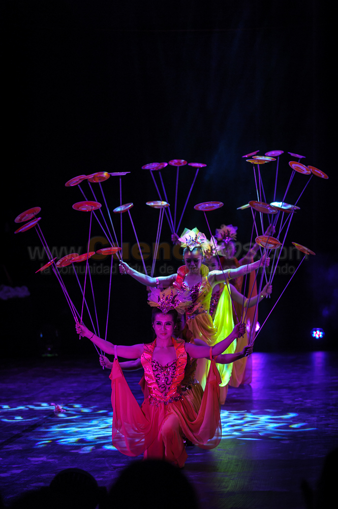 Circo Social 2013