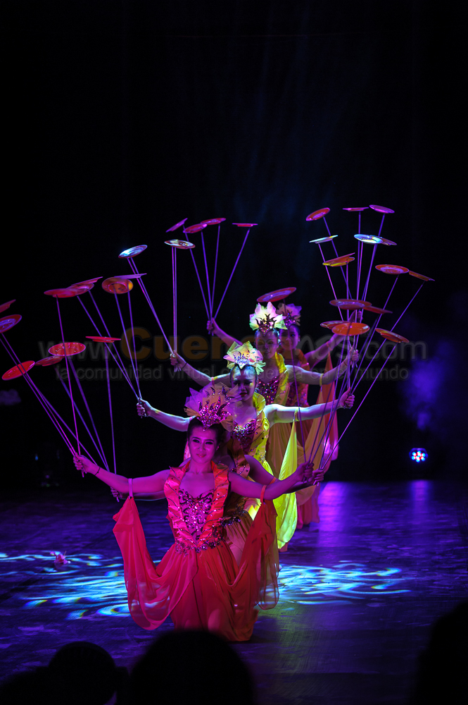 Circo Social 2013