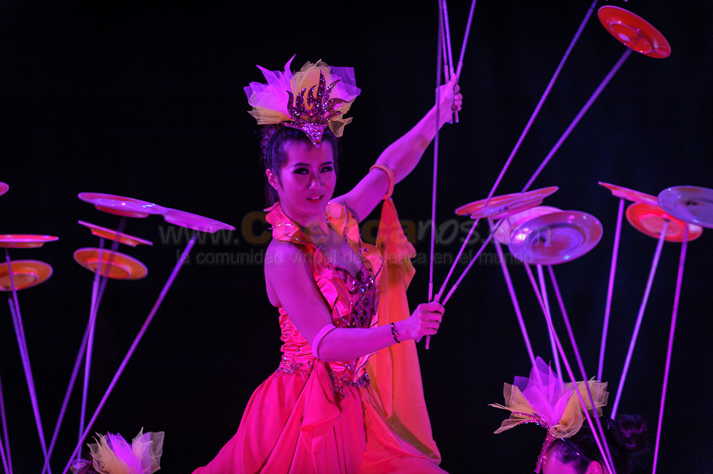 Circo Social 2013