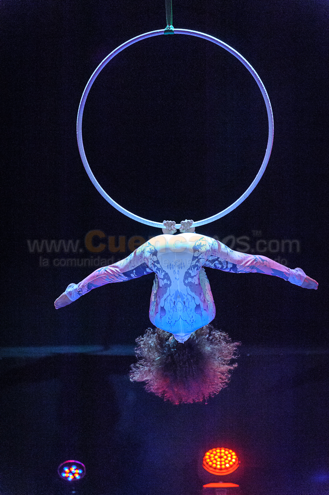 Circo Social 2013