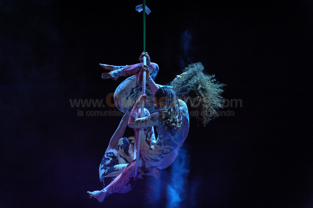 Circo Social 2013