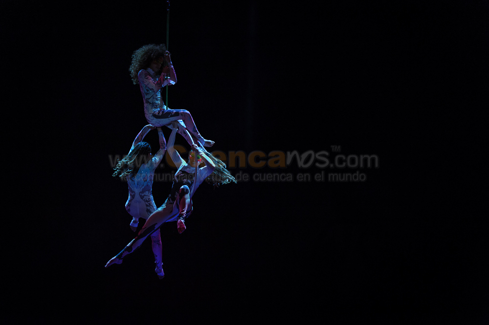 Circo Social 2013