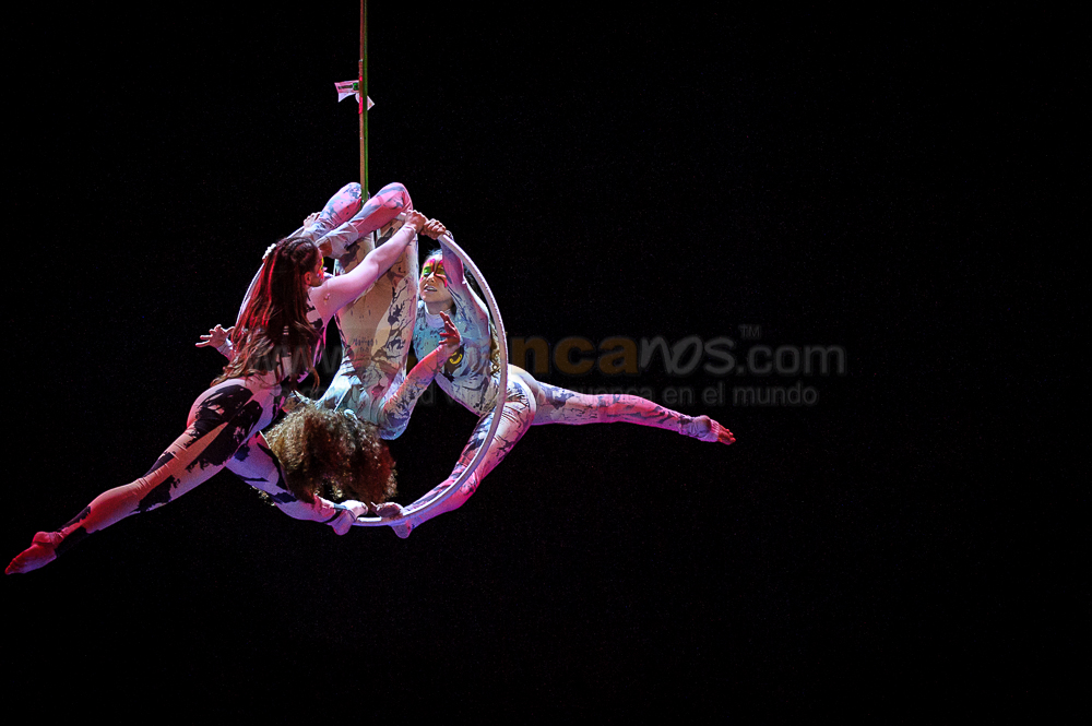 Circo Social 2013