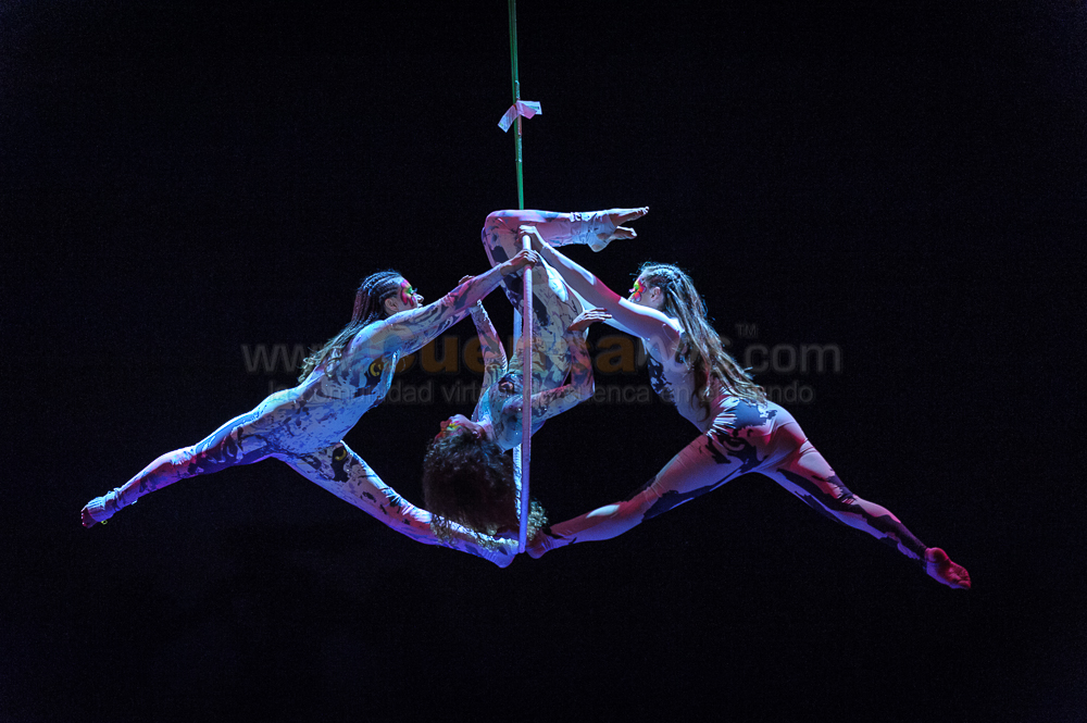 Circo Social 2013