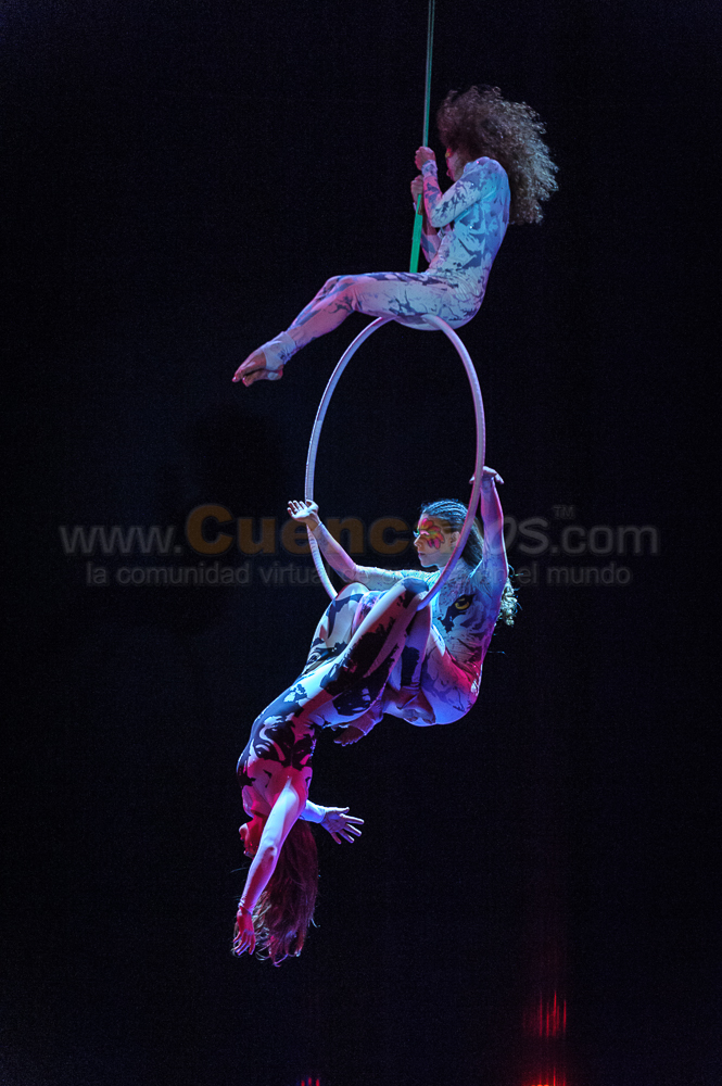 Circo Social 2013