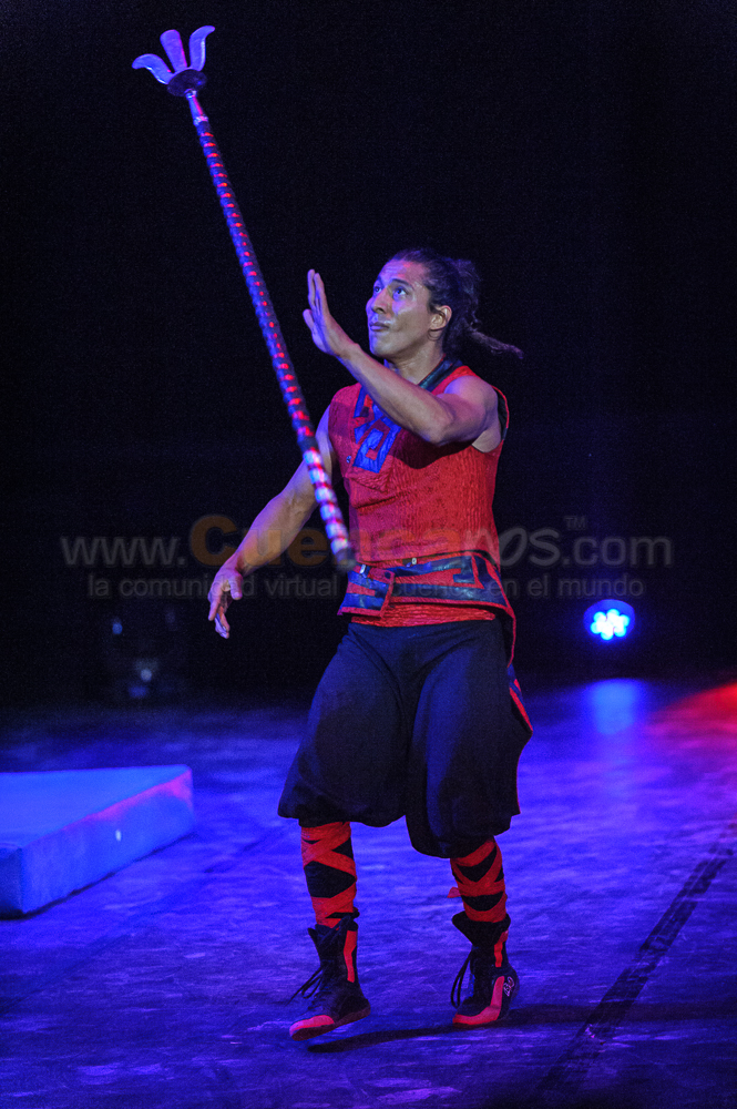 Circo Social 2013
