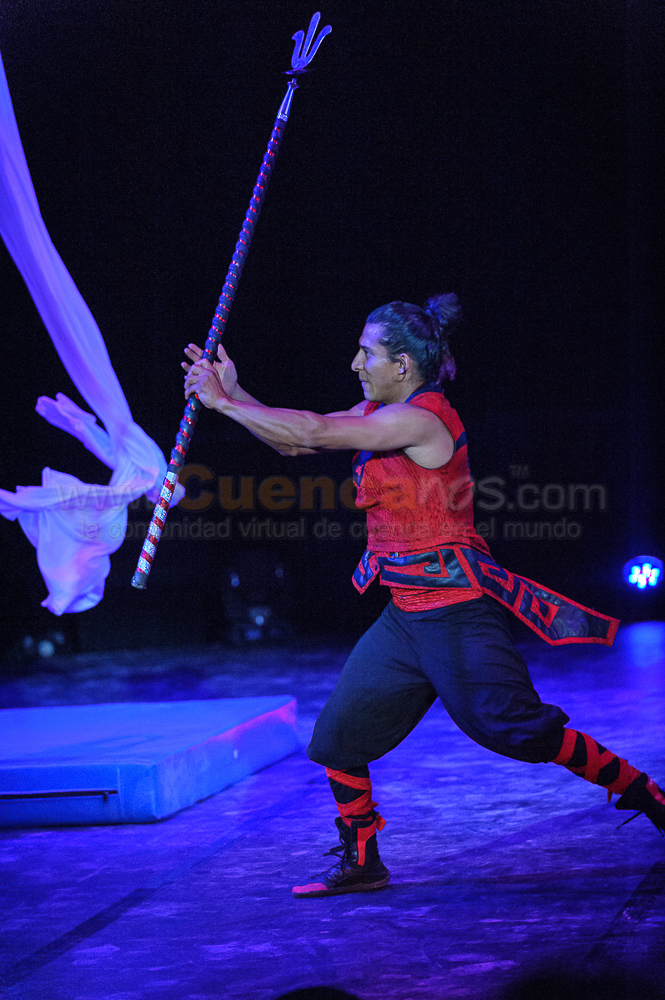 Circo Social 2013