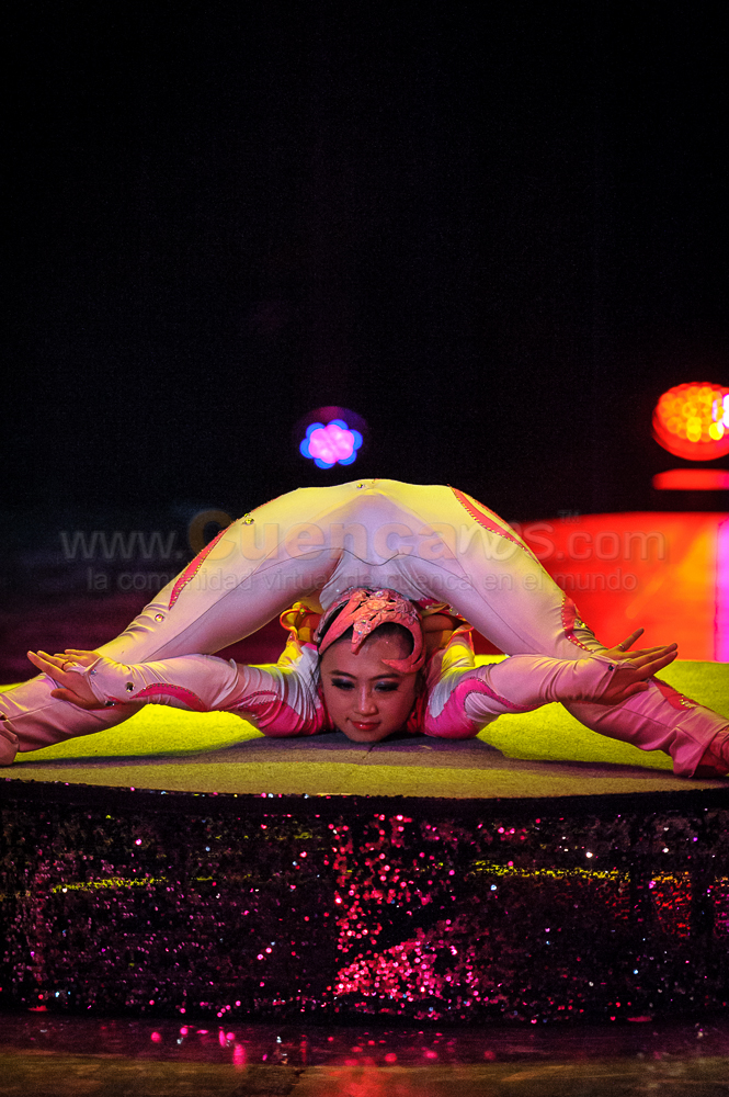 Circo Social 2013