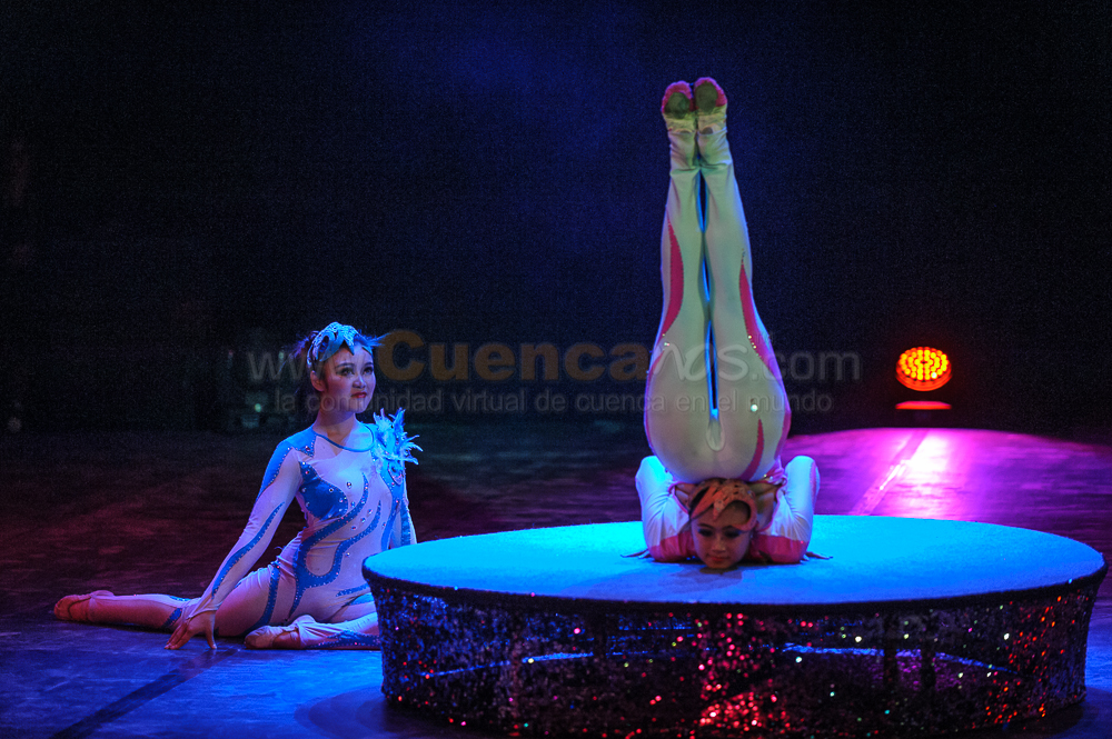 Circo Social 2013