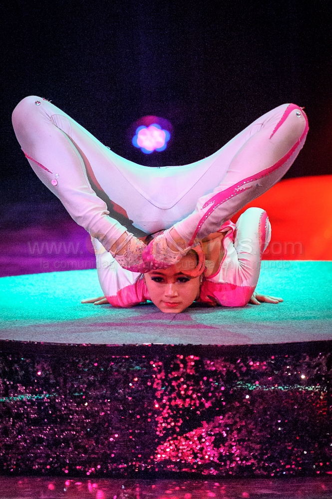 Circo Social 2013