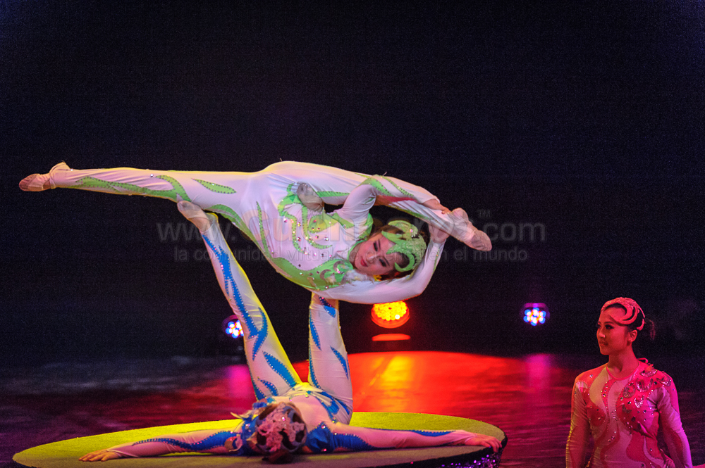 Circo Social 2013