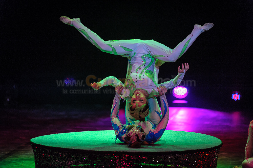 Circo Social 2013