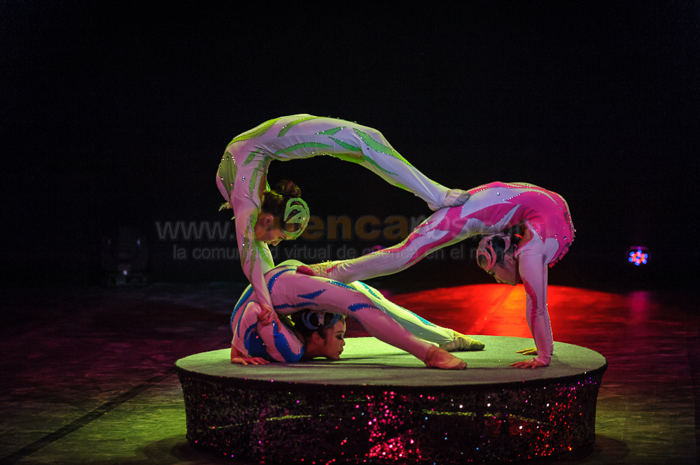 Circo Social 2013