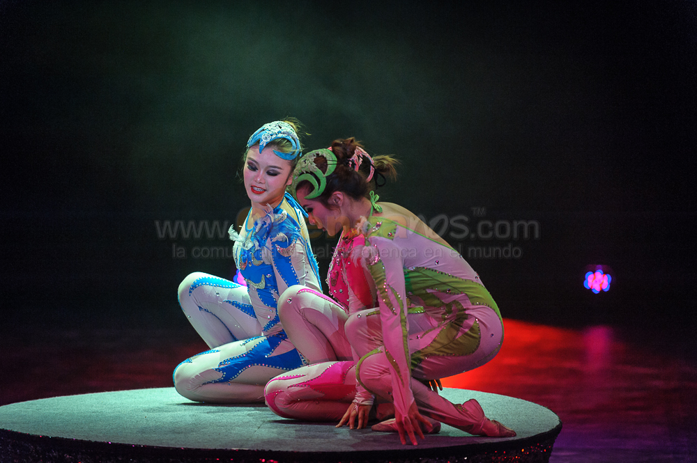 Circo Social 2013