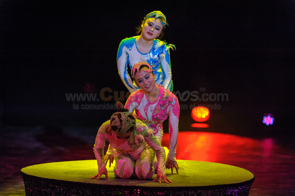Circo Social 2013