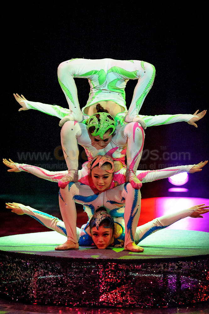 Circo Social 2013